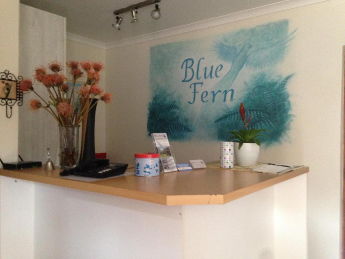Blue Fern Of Knysna Bed & Breakfast Exterior photo