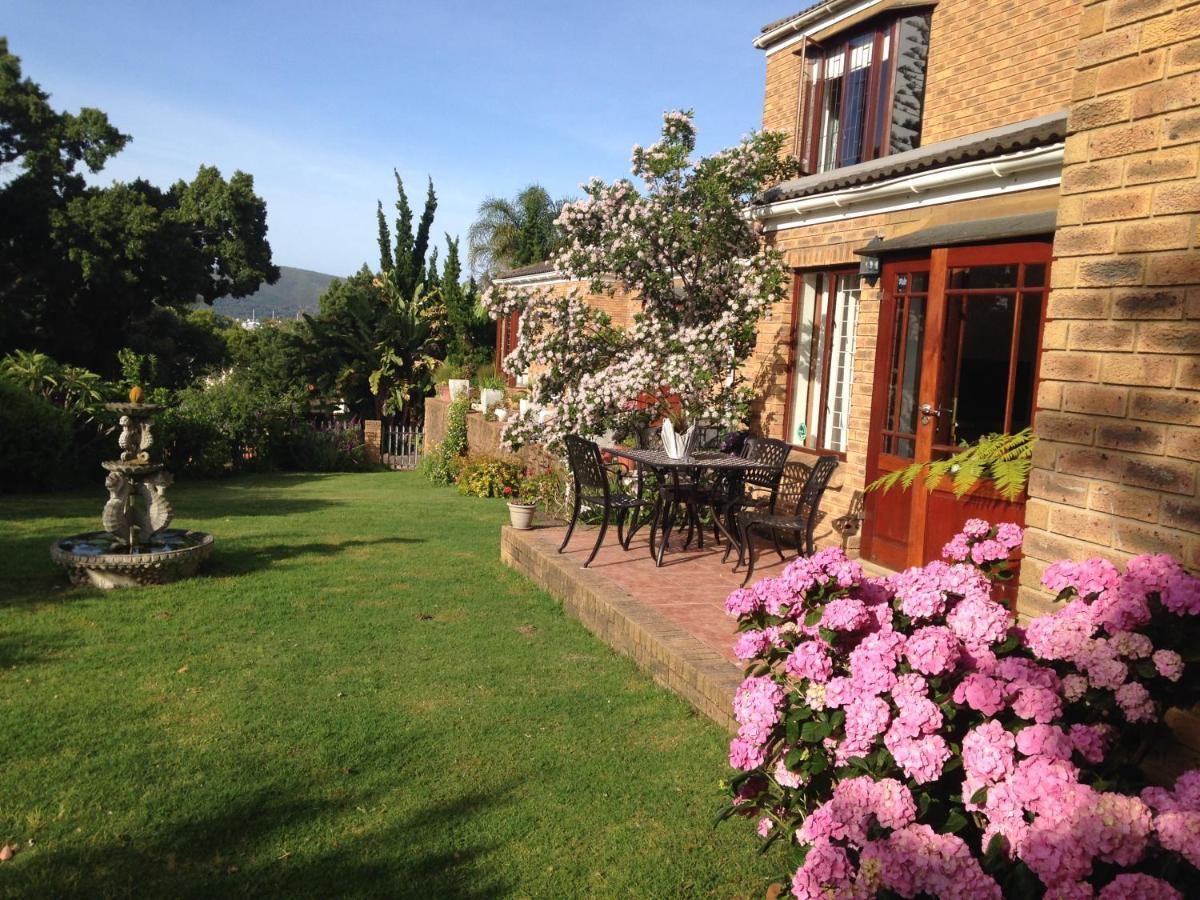 Blue Fern Of Knysna Bed & Breakfast Exterior photo