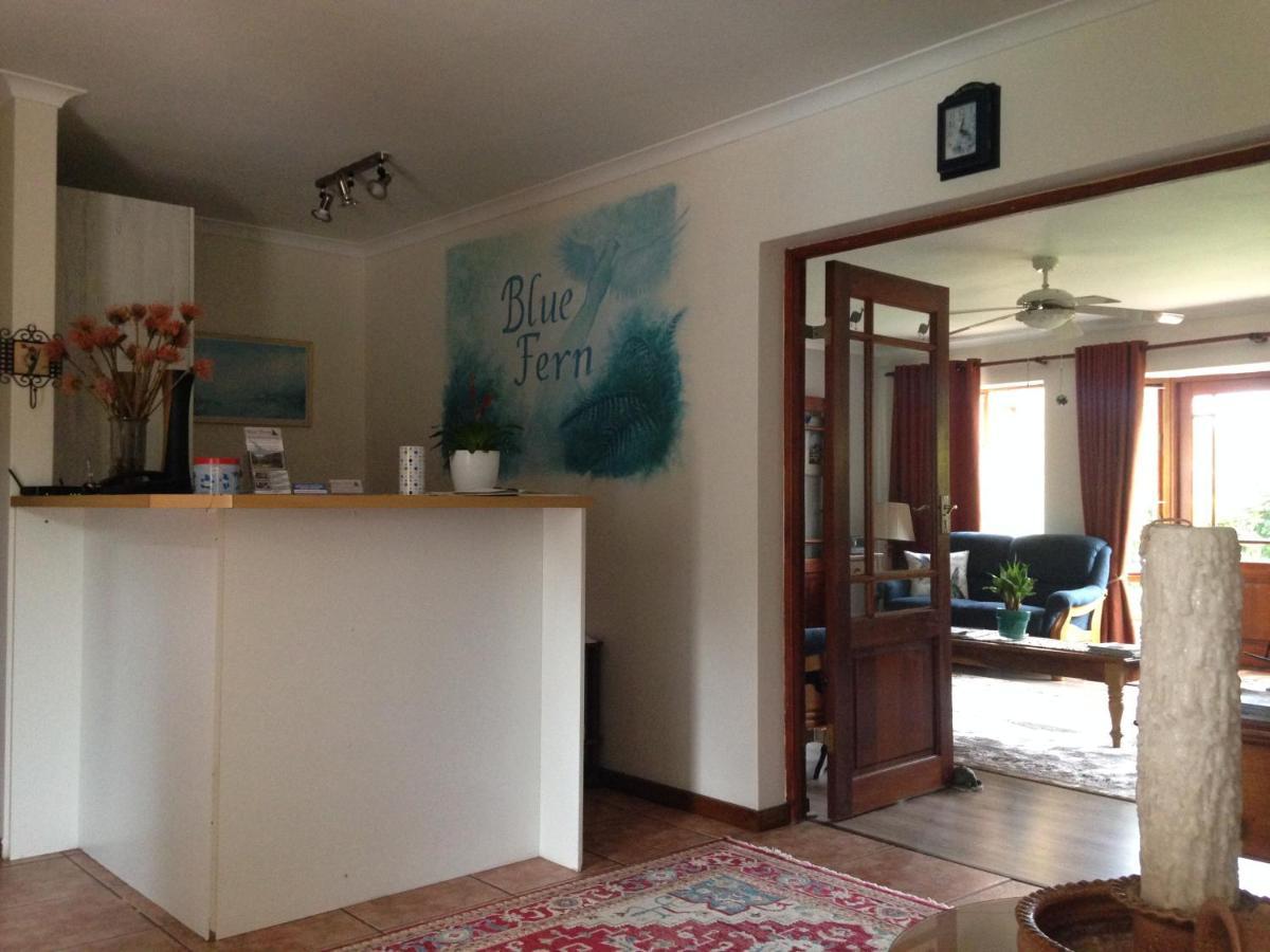Blue Fern Of Knysna Bed & Breakfast Exterior photo